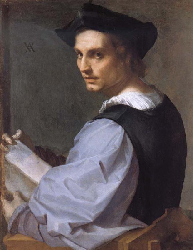 Andrea del Sarto Portrait of a Young Man oil painting picture